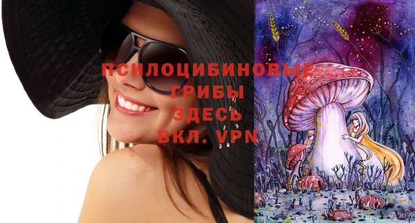 бутират Арсеньев