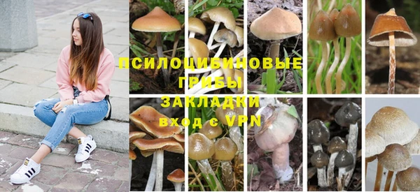 бутират Арсеньев